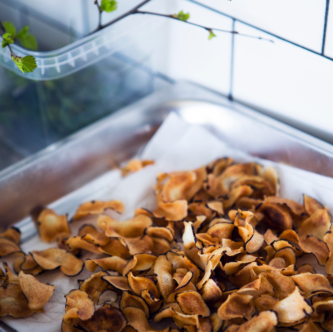 BLACK SALSIFY CHIPS