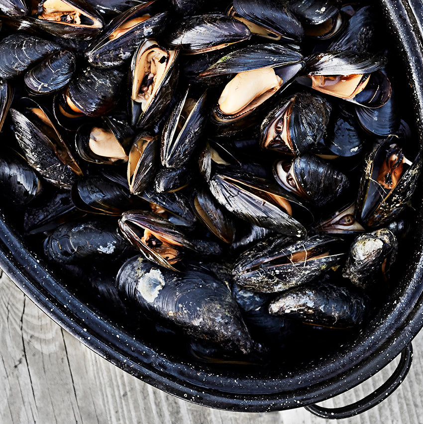 LEMONY GRILLED MUSSELS
