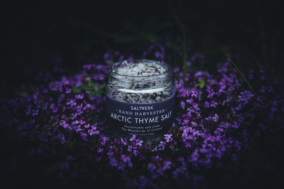 Picking Arctic thyme: a short summer in the Westfjords