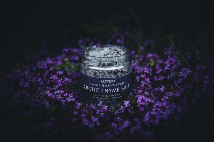 Picking Arctic thyme: a short summer in the Westfjords
