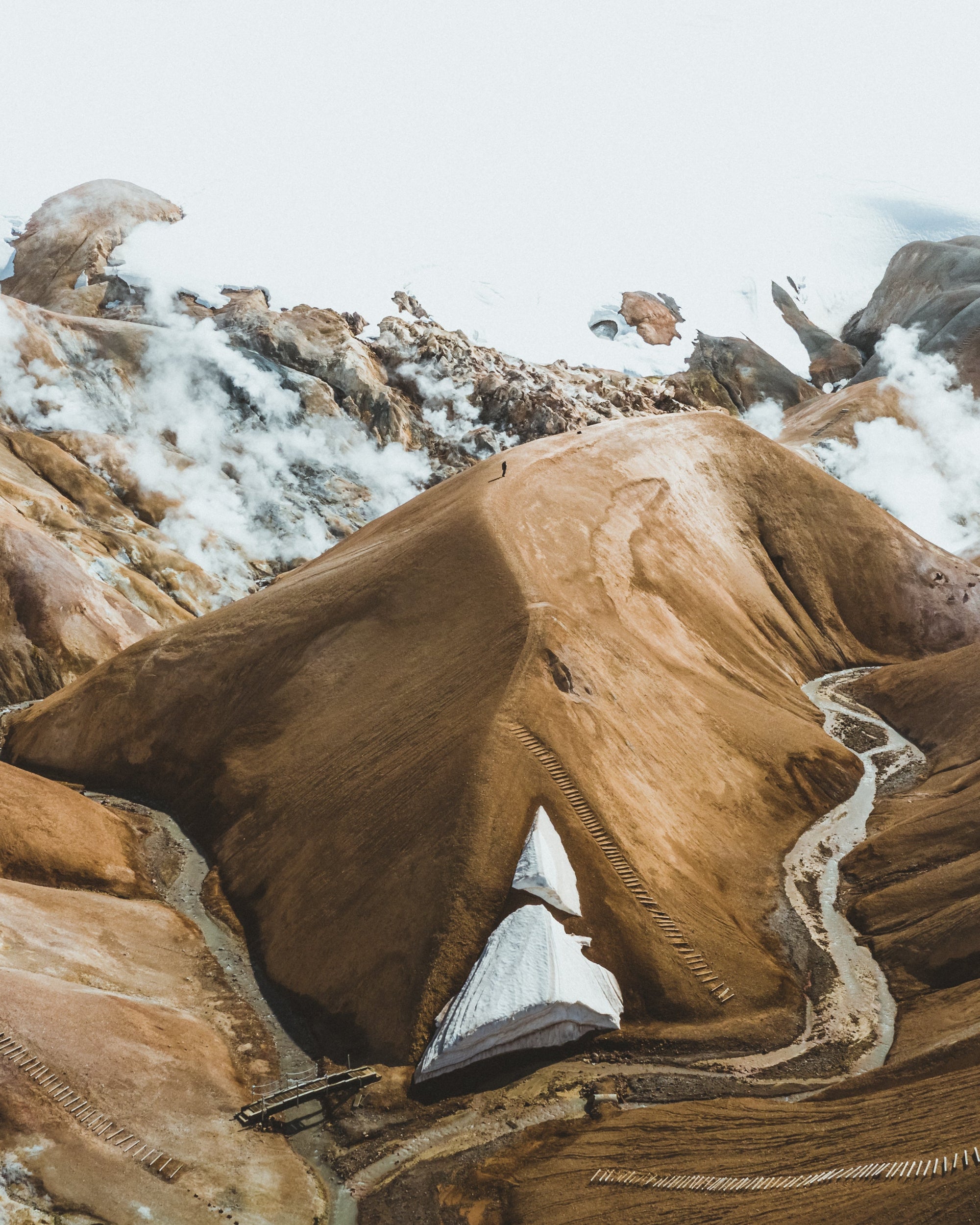 Close-up of a textured brown surface with a blurred background